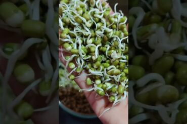 Weight Loss Mung Sprouts  | Healthy Breakfast in 10 Minutes