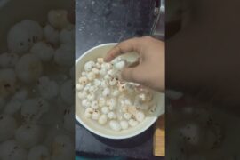 Quick lunch box recipe | Kids healthy lunch box recipe | Healthy lunch box recipe for kids #lunchbox