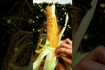 Traditional Home Remedy Corn Silk to Support Kidney Health #recipe #bhutta #healthyfood