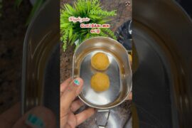 Best weight gain snacks recipes for kids/Pottukadalai laddu for kids#Healthysnacks#Viralshorts