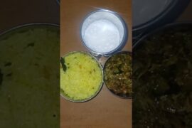 Lunchbox&breakfast#87#sanjumasvlog#healthylunch#ytshorts#recipes#tamil#ududumalpet