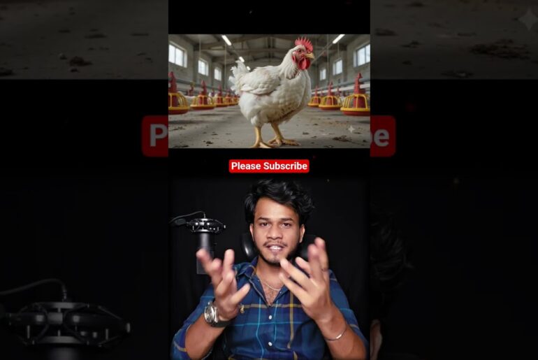 chicken lovers must know this #chicken #chickenrecipe #food #cooking #cookingvideo #health #facts