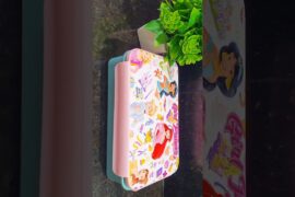 kids snacks box idea #kidssnacksbox #snacksbox #snacks #kidssnacksboxidea #snacksboxidea