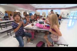 Dietitian shares healthy, kid-friendly lunch ideas for picky eaters