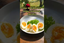 6- Minute High Protein Breakfast Ideas For Every Day | Healthy Breakfast Ideas #42 | Easy Recipes