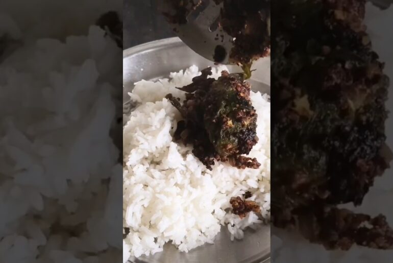 Lunch recipes |  veg recipes |Stuffed vegetables#lunch #food #cooking