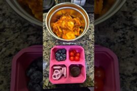 What I Packed for My 5th Graders School Lunch Healthy Meal Ideas Homeschool to Public School Journey