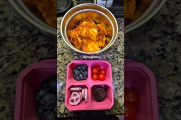 What I Packed for My 5th Graders School Lunch Healthy Meal Ideas Homeschool to Public School Journey