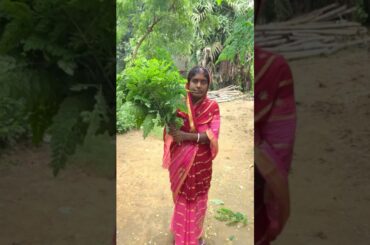 Moringa Leaf Fritters Recipe - Healthy & Crispy Snack #shorts #viral #cooking #villagefood #recipe