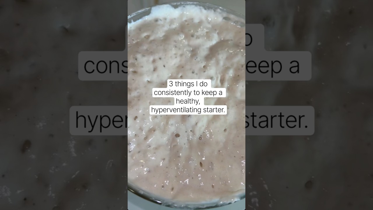 How I Keep a Healthy, Hyperventilating Starter | Sourdough Starter Tips. How I Keep a Healthy, Hyperventilating Starter | Sourdough Starter Tips.