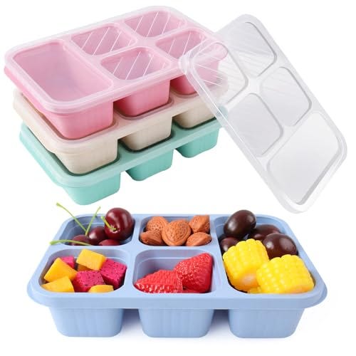 4 Pack Leakproof Bento Lunch Box with 5 Compartments