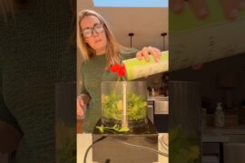 Giada’s Arugula Artichoke Dip #dinner #recipe #glutenfree #dairyfree #momlife #appetizer #healthy