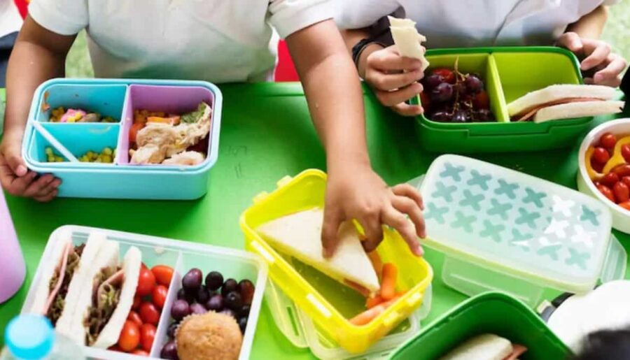 Children’s Day Lunchbox Ideas: Tasty And Kid-Approved Recipes