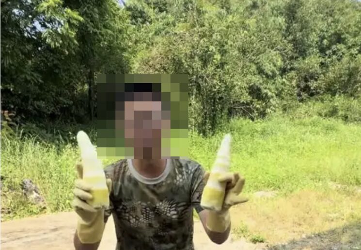 A blogger exposed that bamboo shoots are being fumigated with sulfur at a local factory. Baidu, China.
