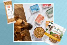 7 Best Fresh Dog Food Brands of 2026, According to Vets