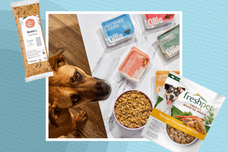7 Best Fresh Dog Food Brands of 2026, According to Vets