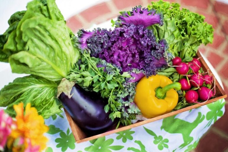 SNAP Participation Declines as States Prepare for New Costs