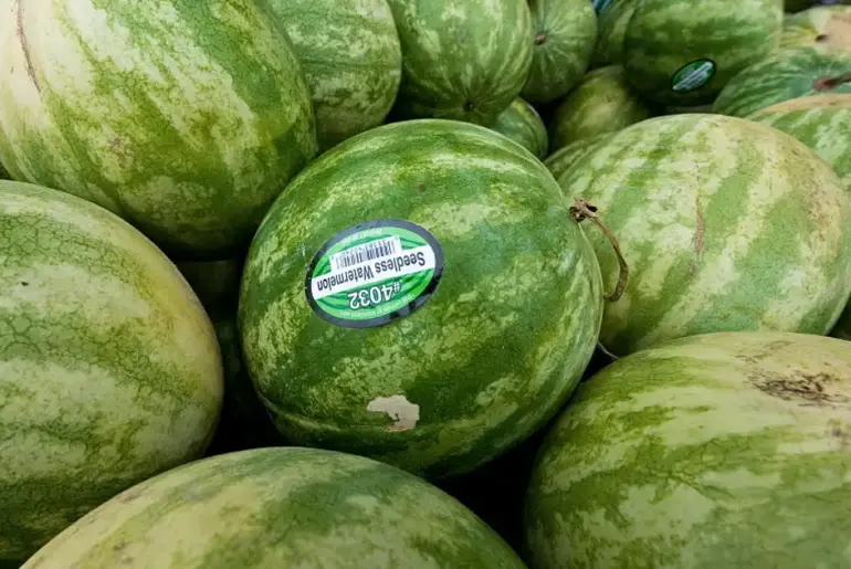 Commentary: Seedless fruits are convenient, but they threaten food security