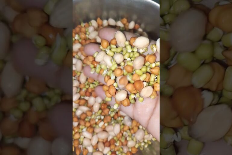 Healthy breakfast recipes|Sprouts Salad | #subhashgoyal #sprouts #shorts #salad #trendingshorts