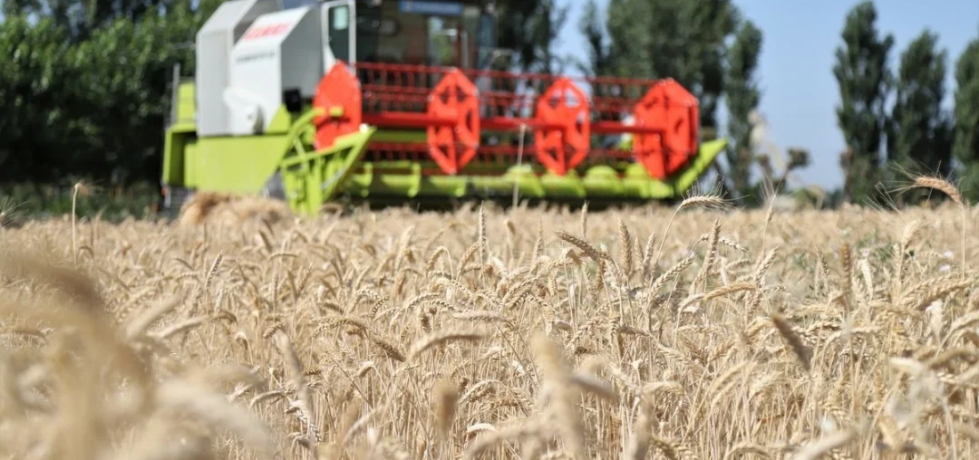 EAEU Pushes Agricultural Integration Amid Global Food Security Risks