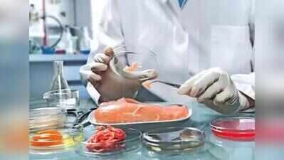 Food safety checks intensify across UP