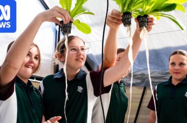 Fighting food insecurity and disengagement one school greenhouse at a time