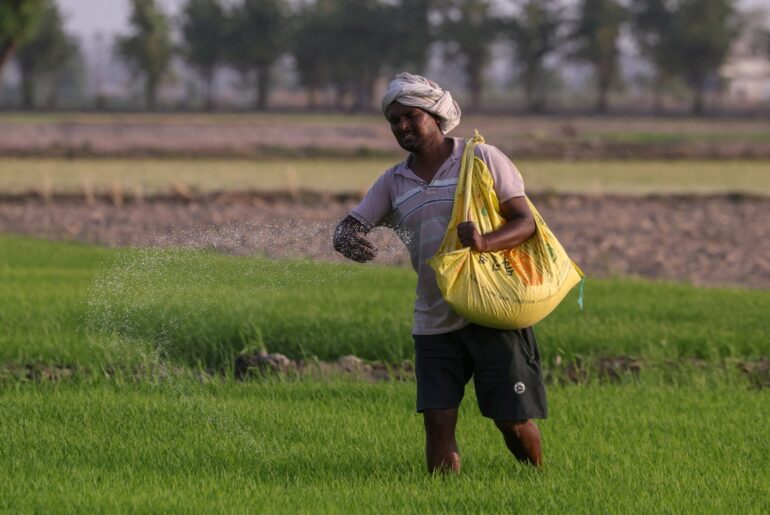 UN official warns of looming food crisis as Hormuz fertiliser plan stalls | Agriculture News