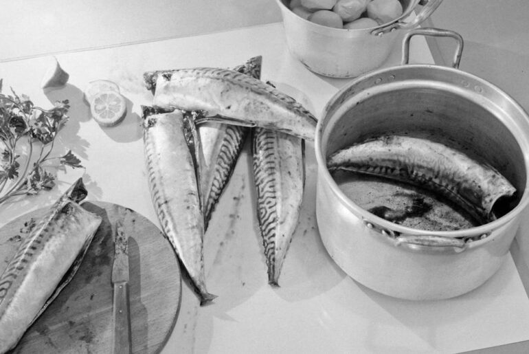 Kipper cream or fish in custard? A century of magazine recipes reveals how Britain’s seafood tastes have narrowed