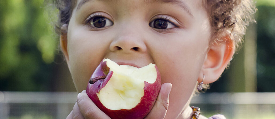 Healthy snack ideas for the whole family