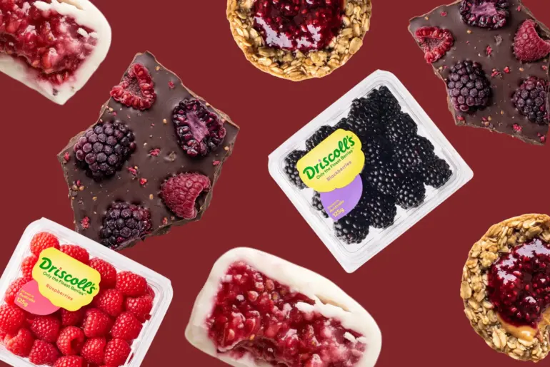 Ditch the Chocolate Bar: Upgrade Your Afternoon Snack With These Simple Berry Sweet Treat Recipes